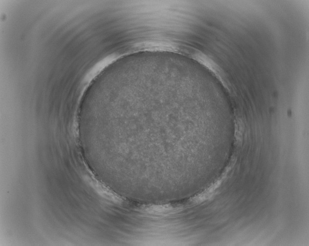 X0000066531074200603241356