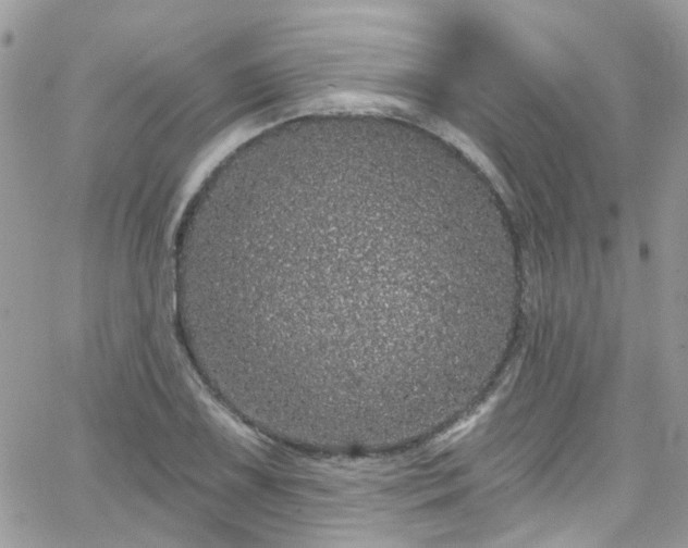 X0000066531075200603241356