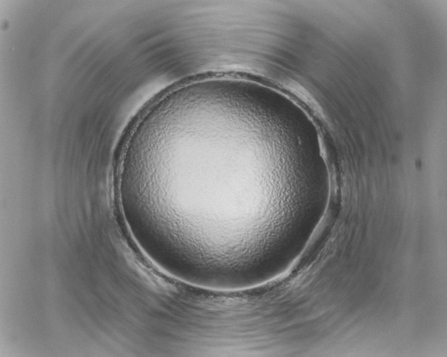 X0000066531076200603241356