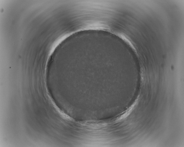 X0000066531077200603241356