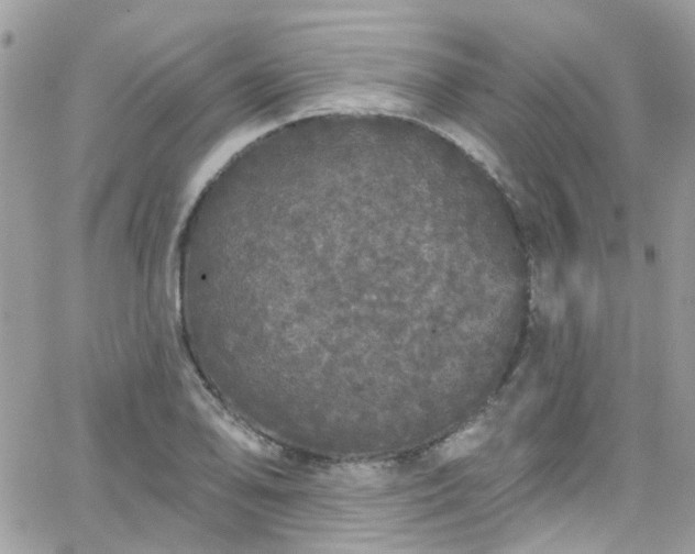 X0000066531078200603241356