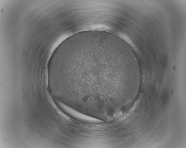 X0000066531079200603241356