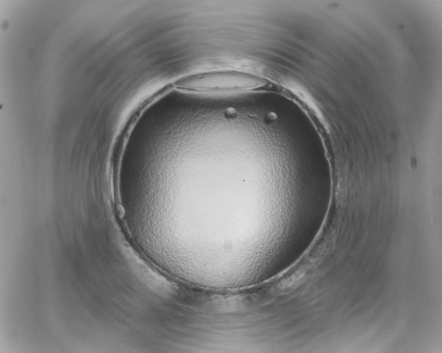 X0000066531080200603241356