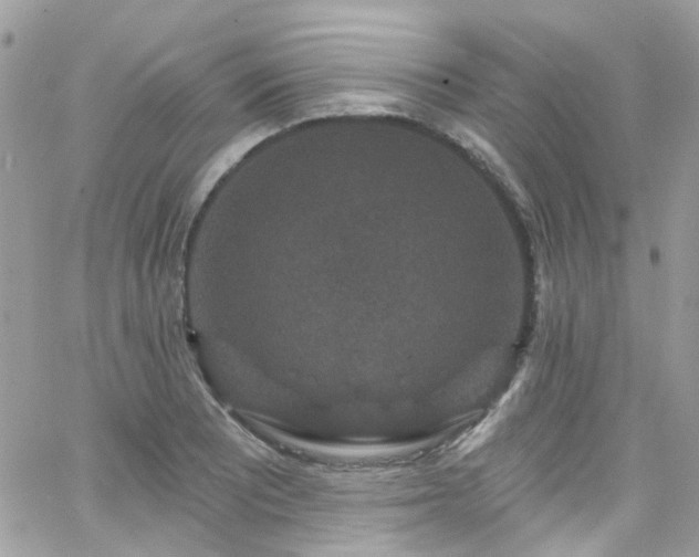 X0000066531081200603241356