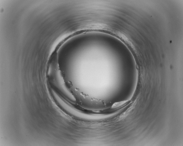 X0000066531085200603241355