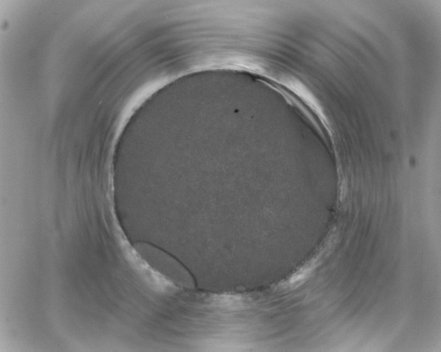 X0000066531088200603241355