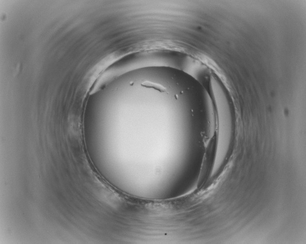 X0000066531089200603241355