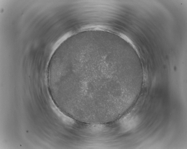 X0000066531090200603241355