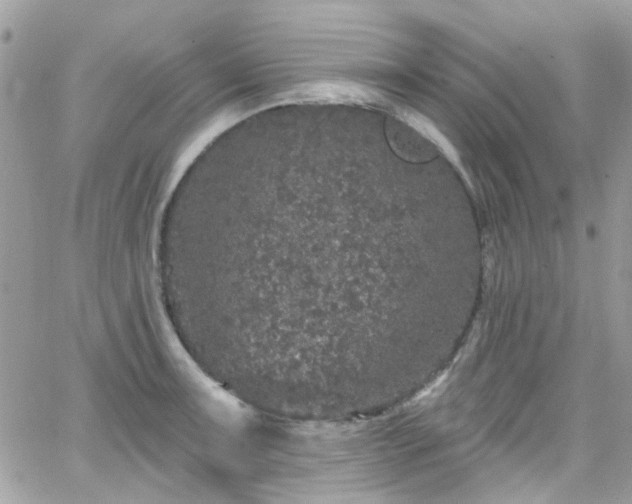 X0000066531091200603241355