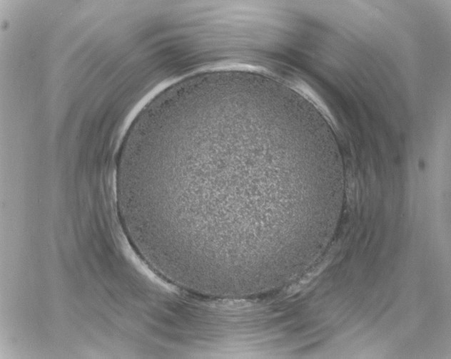 X0000066531092200603241355