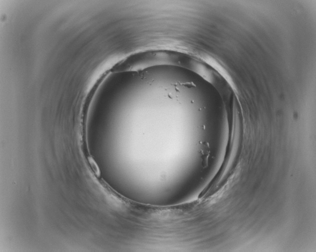 X0000066531093200603241355