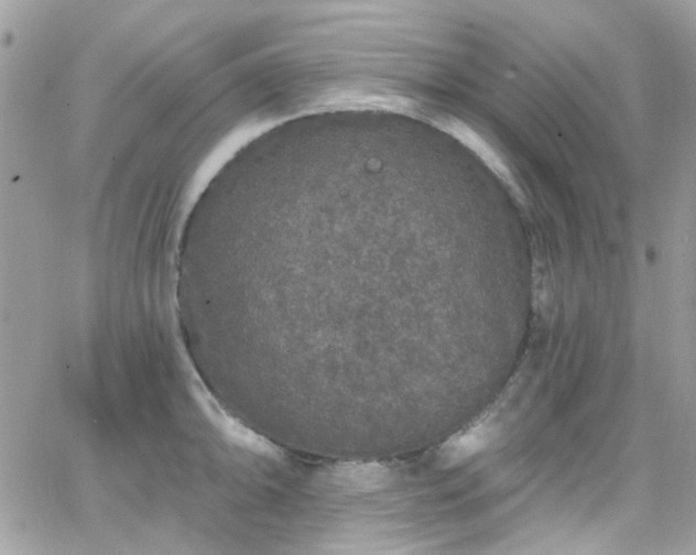 X0000066531094200603241355