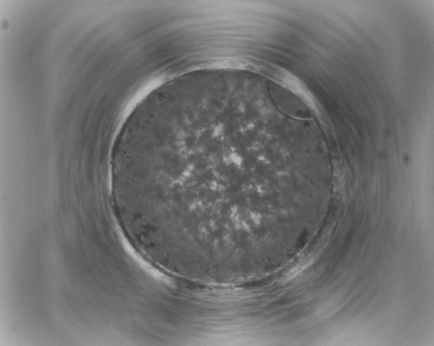 X0000066531095200603241355