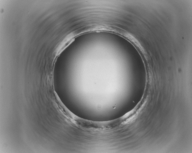 X0000066531097200603241355