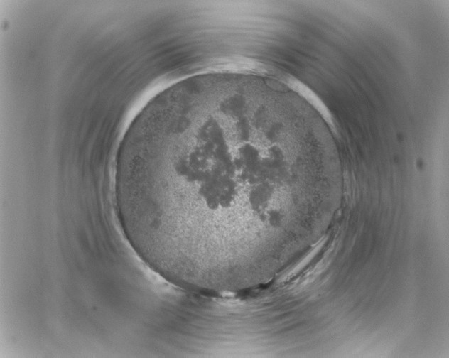 X0000066531099200603241355