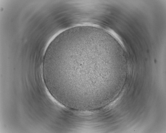 X0000066531100200603241355