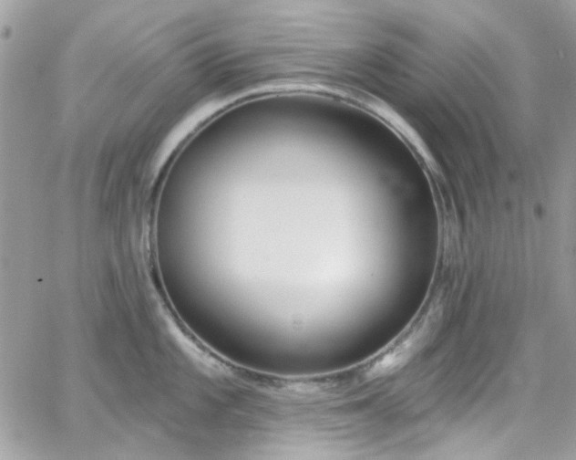 X0000066531101200603241355