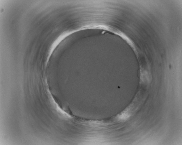 X0000066531102200603241355