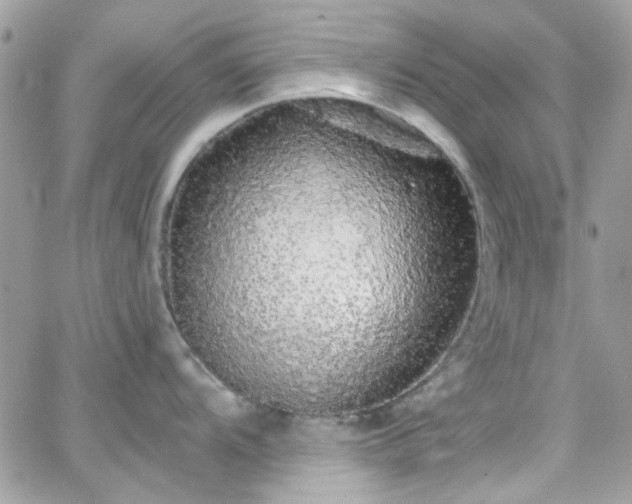 X0000066531104200603241355