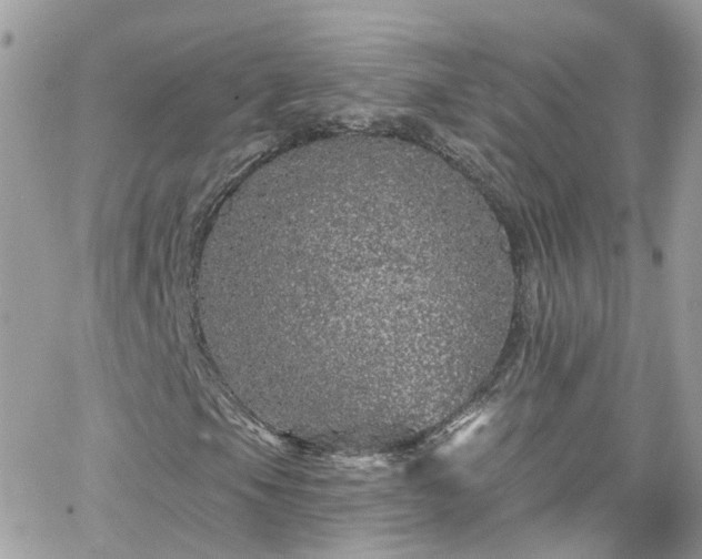 X0000066531105200603241354