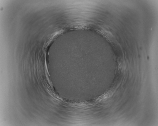 X0000066531106200603241354