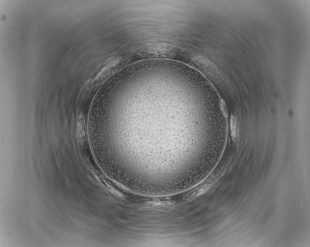 X0000066531107200603241354