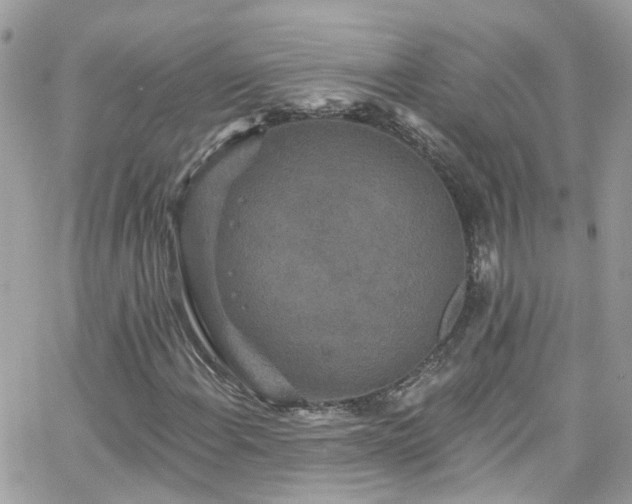 X0000066531108200603241354