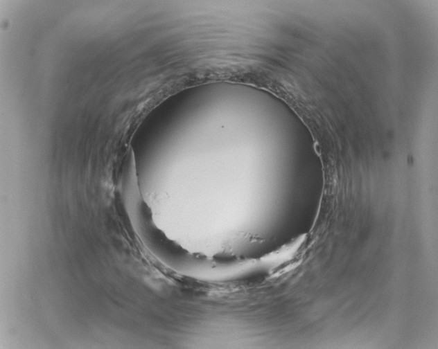 X0000066531109200603241354