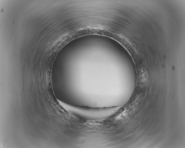 X0000066531110200603241354