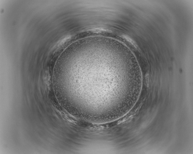 X0000066531111200603241354