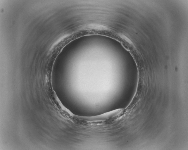 X0000066531112200603241354