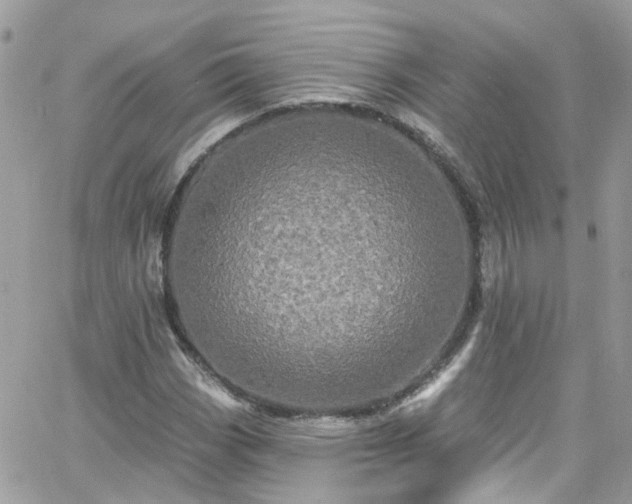 X0000066531113200603241355