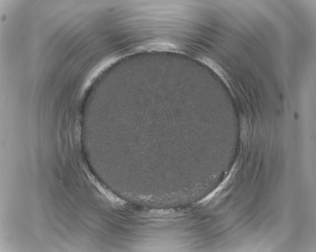 X0000066531115200603241355