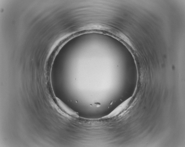 X0000066531116200603241355