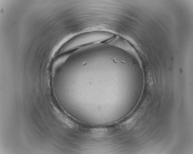 X0000066531118200603241355