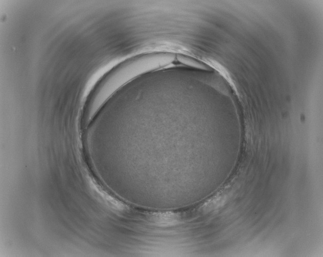 X0000066531120200603241355