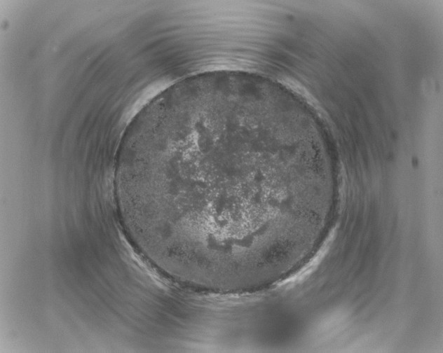 X0000066531121200603241355