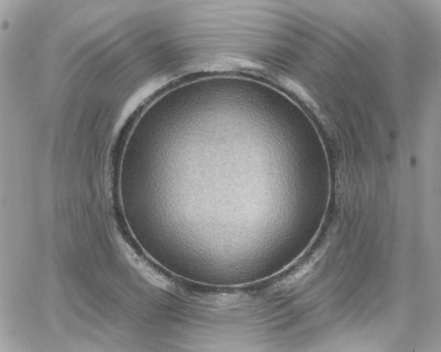 X0000066531122200603241355