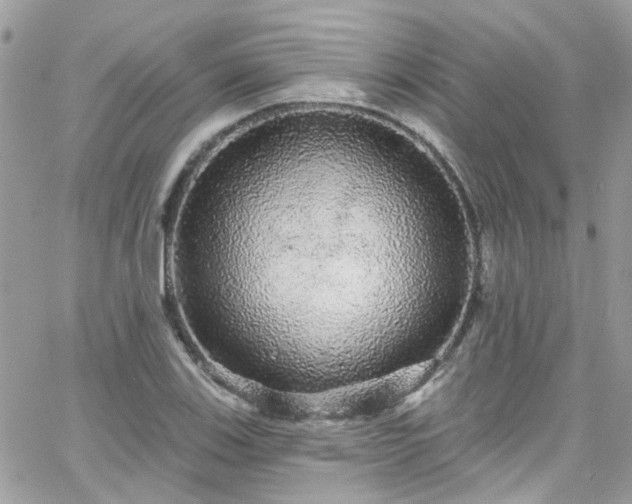 X0000066531123200603241355