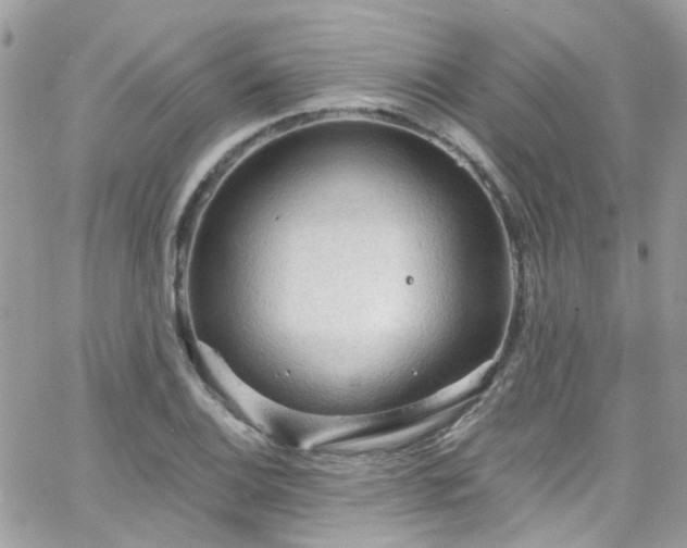 X0000066531124200603241355