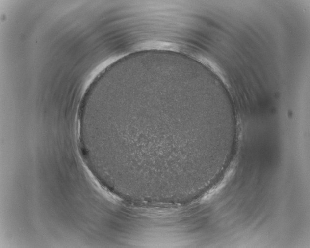 X0000066531125200603241355