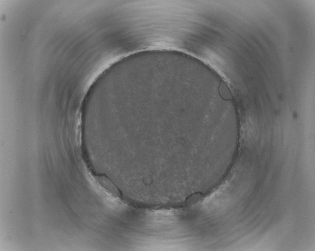 X0000066531126200603241355