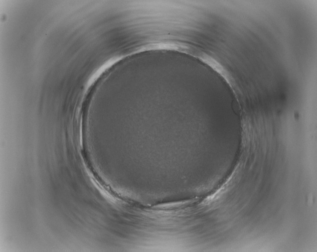 X0000066531127200603241355