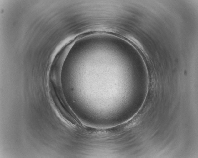 X0000066531128200603241355