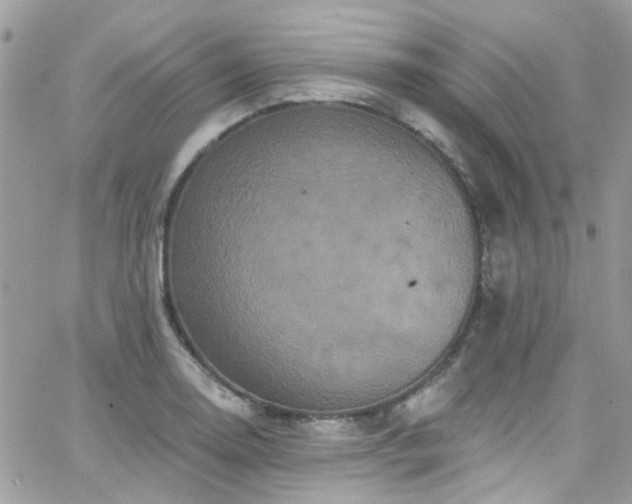 X0000066531130200603241355