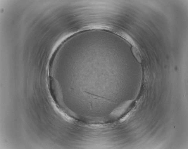 X0000066531132200603241355