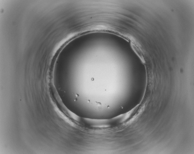 X0000066531134200603241355