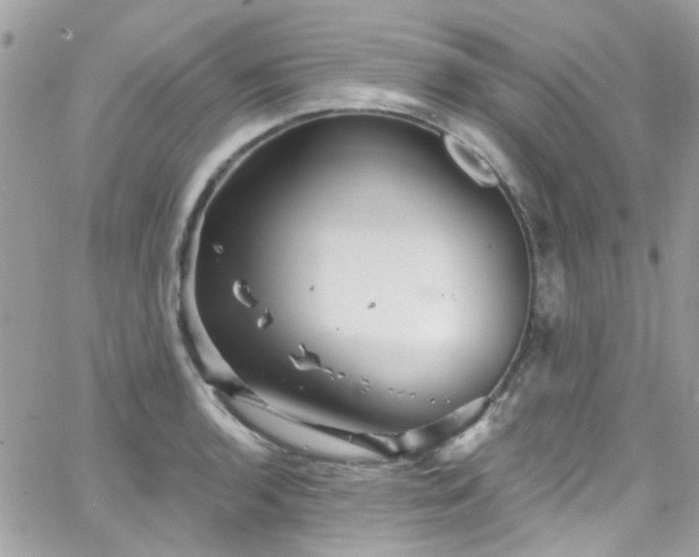 X0000066531136200603241355