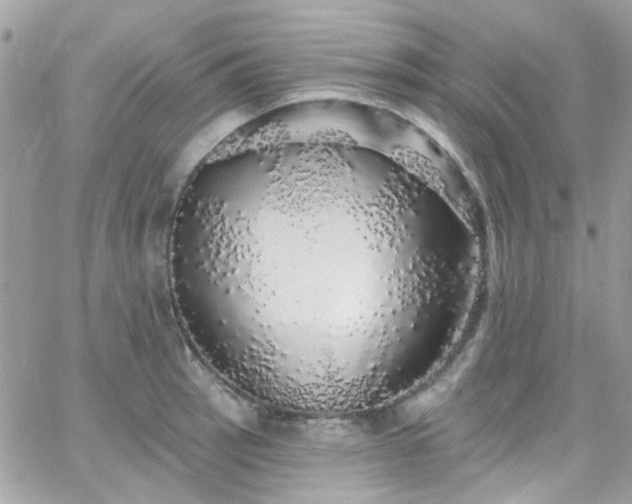 X0000066531137200603241355