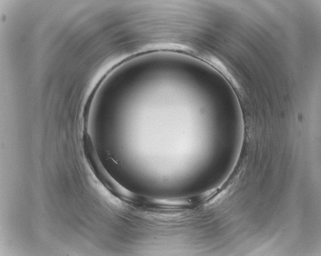 X0000066531140200603241355